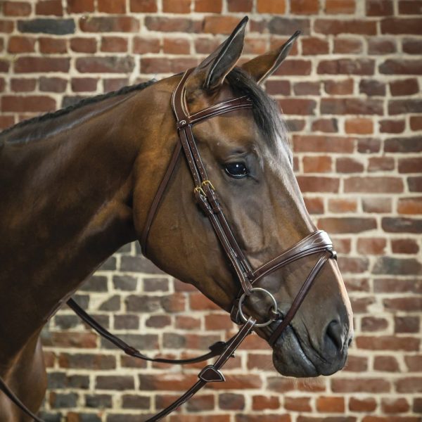 Dy'on® Anatomic Bridle - Image 3